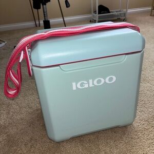 Igloo Mint Cooler with Pink Strap